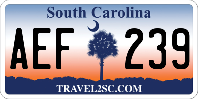 SC license plate AEF239