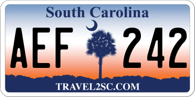 SC license plate AEF242