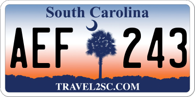 SC license plate AEF243