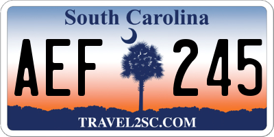 SC license plate AEF245