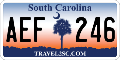 SC license plate AEF246