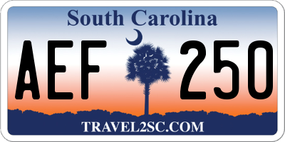 SC license plate AEF250