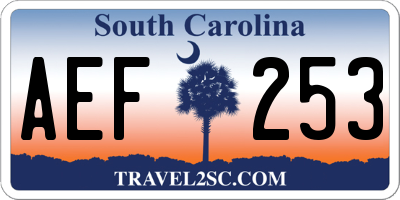 SC license plate AEF253