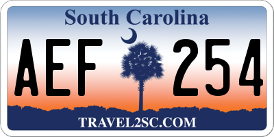 SC license plate AEF254