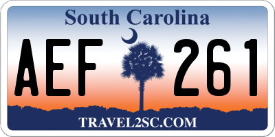 SC license plate AEF261