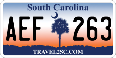SC license plate AEF263
