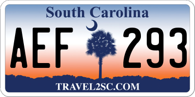 SC license plate AEF293