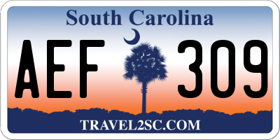 SC license plate AEF309