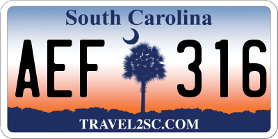 SC license plate AEF316