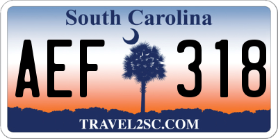 SC license plate AEF318