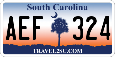 SC license plate AEF324