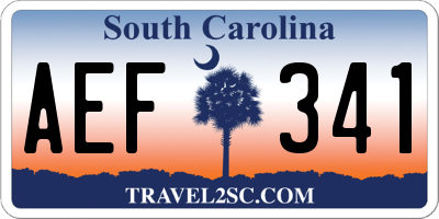 SC license plate AEF341