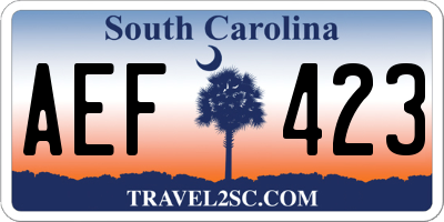 SC license plate AEF423