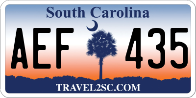 SC license plate AEF435