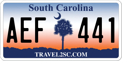 SC license plate AEF441