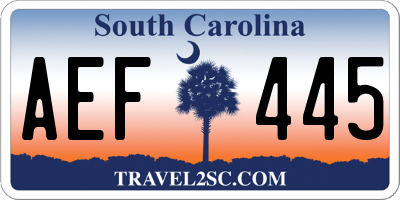 SC license plate AEF445