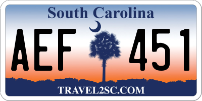 SC license plate AEF451