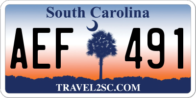 SC license plate AEF491