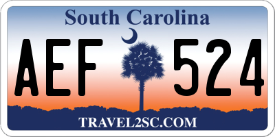 SC license plate AEF524