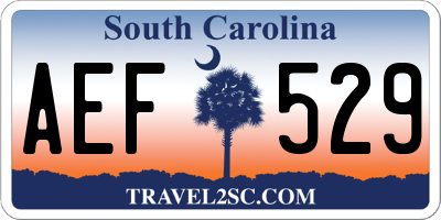 SC license plate AEF529