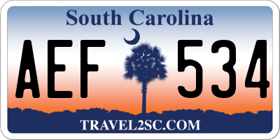 SC license plate AEF534