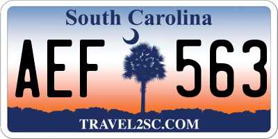SC license plate AEF563