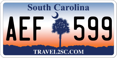 SC license plate AEF599