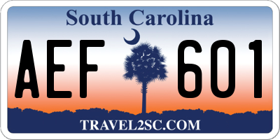 SC license plate AEF601