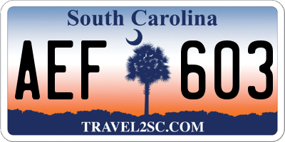 SC license plate AEF603