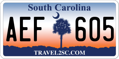 SC license plate AEF605