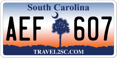 SC license plate AEF607