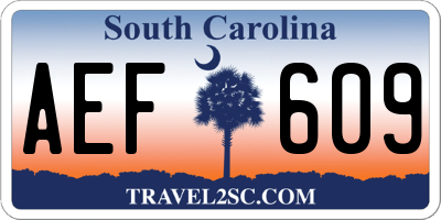 SC license plate AEF609