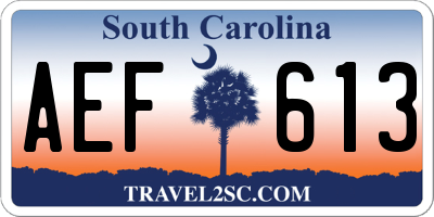 SC license plate AEF613