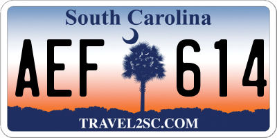 SC license plate AEF614