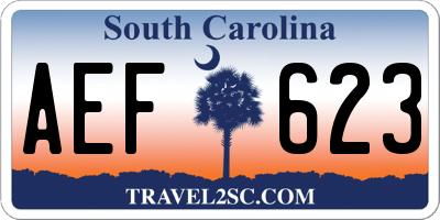 SC license plate AEF623