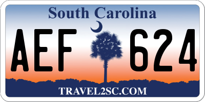 SC license plate AEF624