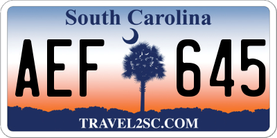 SC license plate AEF645