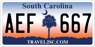 SC license plate AEF667