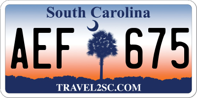 SC license plate AEF675