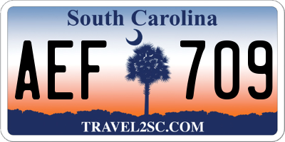 SC license plate AEF709