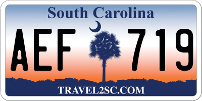 SC license plate AEF719