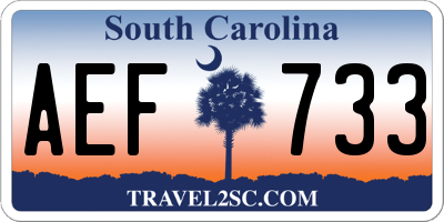 SC license plate AEF733