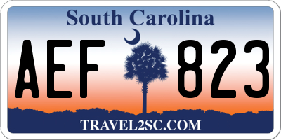 SC license plate AEF823