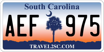 SC license plate AEF975