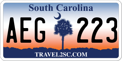 SC license plate AEG223