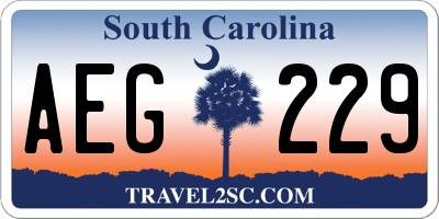 SC license plate AEG229