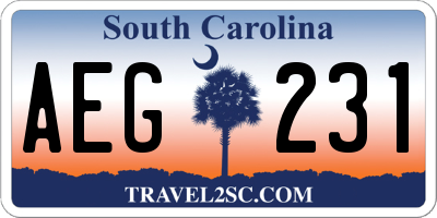 SC license plate AEG231