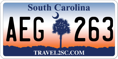 SC license plate AEG263