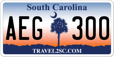 SC license plate AEG300