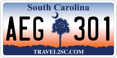 SC license plate AEG301